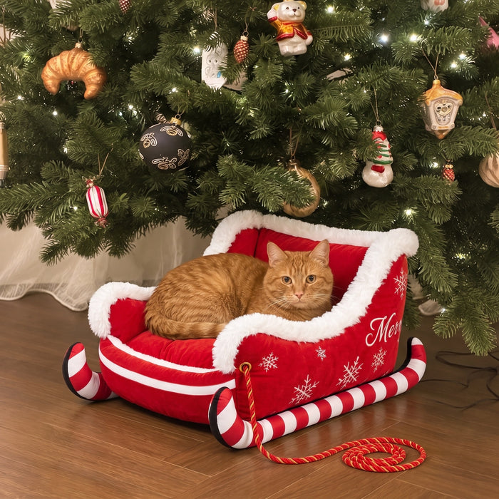 Ginger cat in the Candy Cane Sleigh bed under the Christmas tree