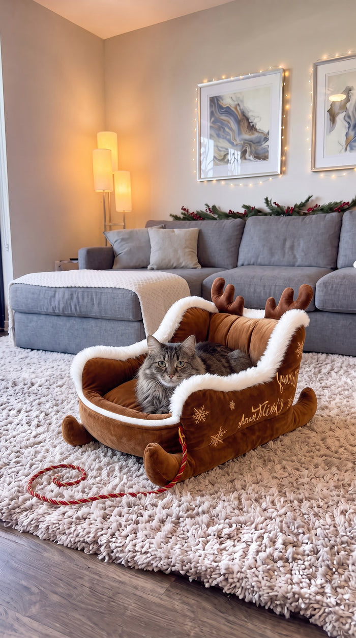 Grey tabby cat in the Cocoa Reindeer Sleigh bed