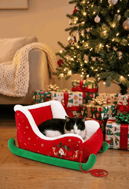 Tuxedo cat in the Mistletoe Sleigh bed